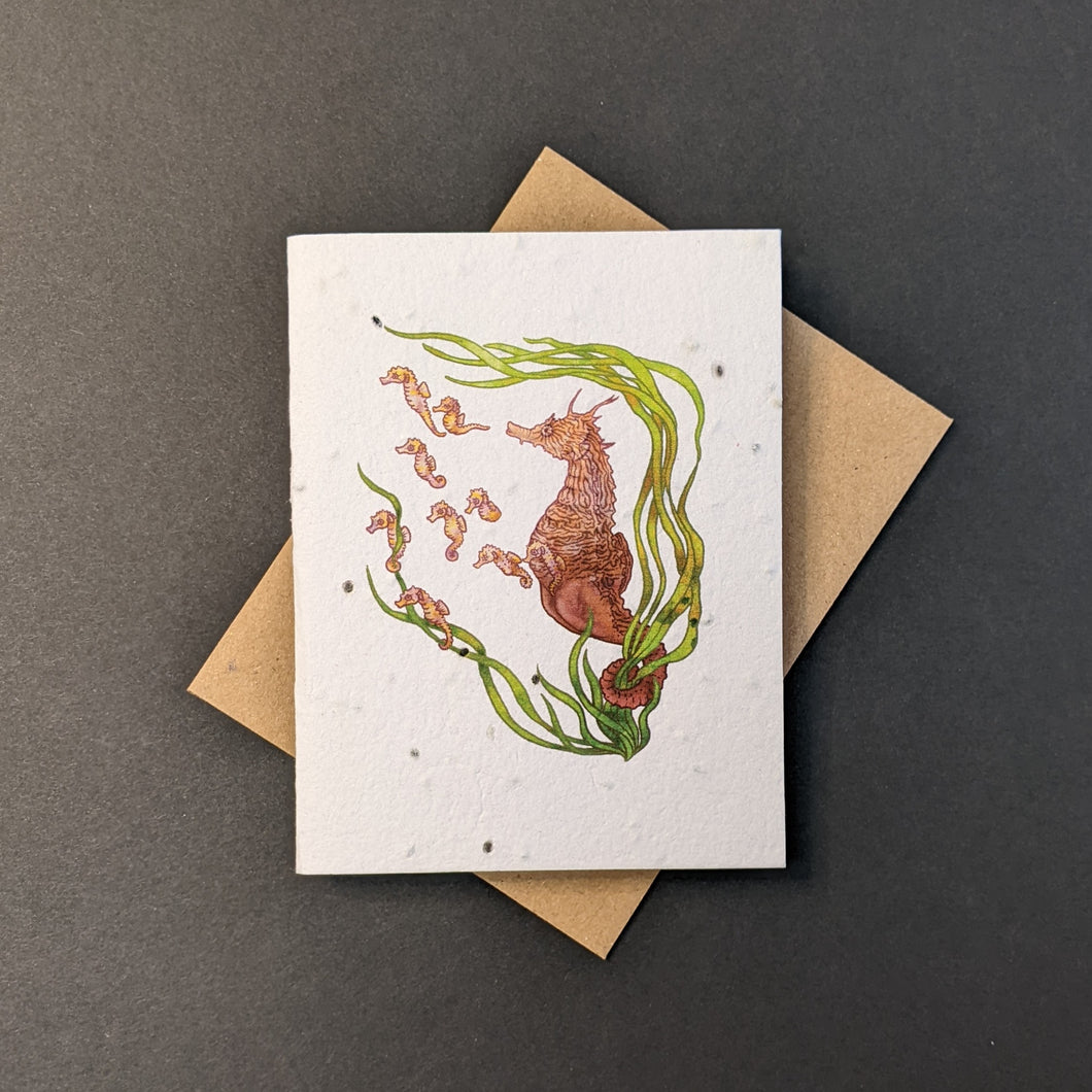Seahorse Card (seed paper)
