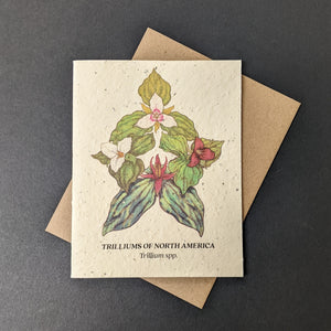 A white seed paper card with a brown craft envelope behind it on a black background. The card has a watercolor style illustration of the four red and white trillium flowers found in north america. The card reads: 
TRILLIUMS OF NORTH AMERICA
Trillium spp.

Sold at Coyote Supply Co a BIPOC and LGBTQIA+ owned zero waste witch store in Reno Nevada