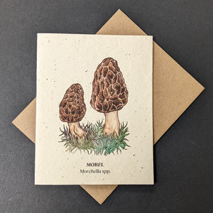 Morel Card (seed paper)