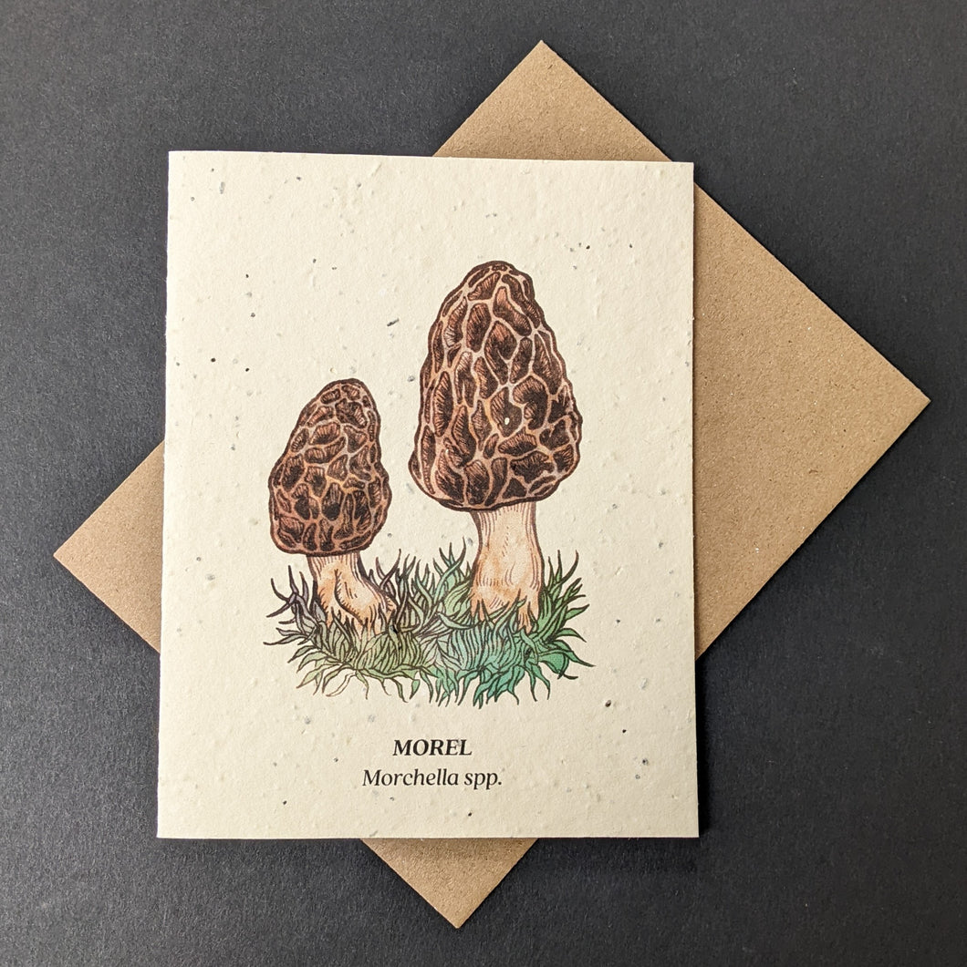 Morel Card (seed paper)