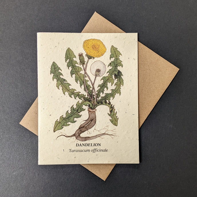 Dandelion Card (seed paper)