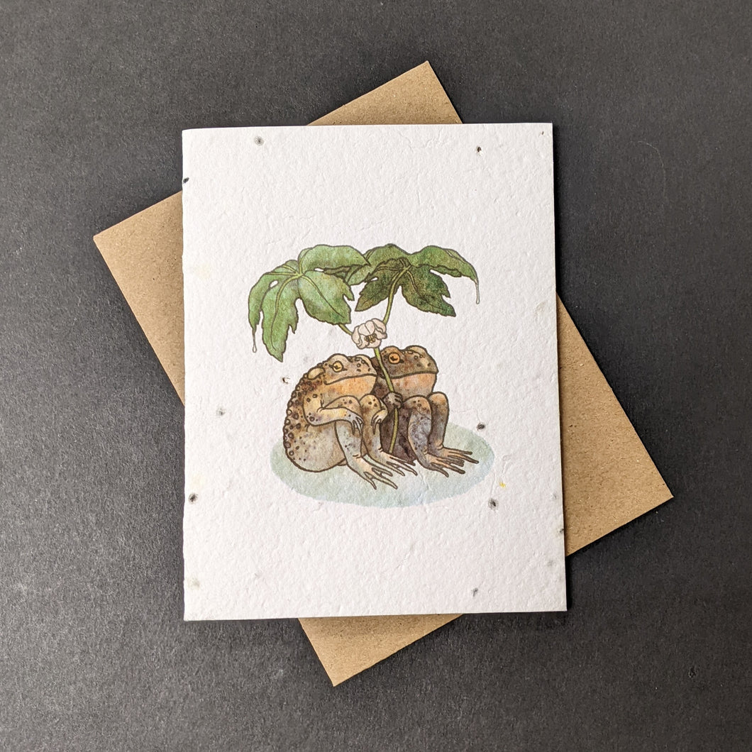 A white seed paper card with a brown craft envelope behind it on a black background. The card has a watercolor style illustration of two toads sitting together under large leaves.

Sold at Coyote Supply Co a BIPOC and LGBTQIA+ owned zero waste witch store in Reno Nevada