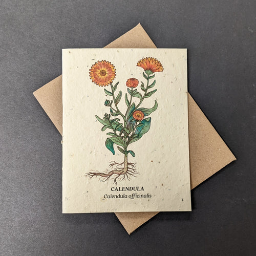 A white seed paper card with a brown craft envelope behind it on a black background. The card has a watercolor style illustration of calendula flowers and their roots. The card reads: 
CALENDULA
Calendula officinalis

Sold at Coyote Supply Co a BIPOC and LGBTQIA+ owned zero waste witch store in Reno Nevada