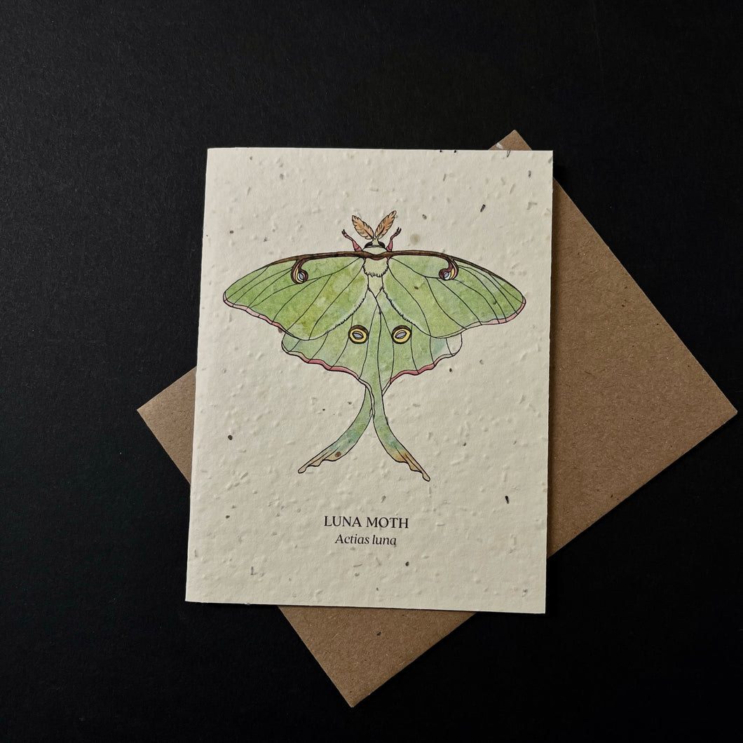 Luna Moth Card (seed paper)