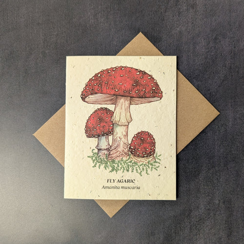 Fly Agaric Holiday Card (seed paper)