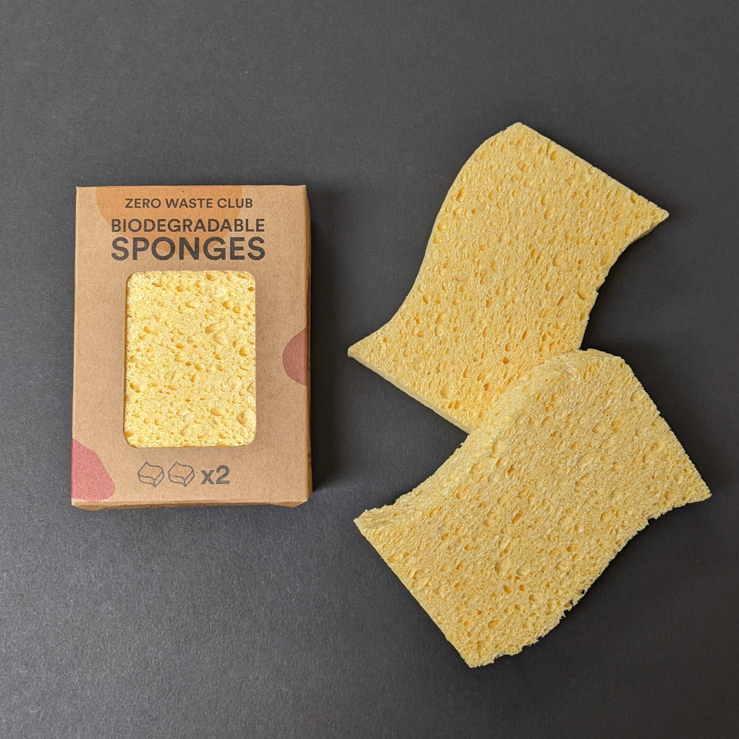 Sponge 2 Pack