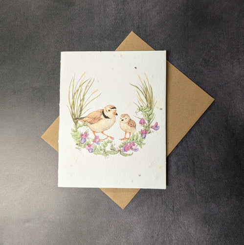 A white seed paper card with a brown craft envelope behind it on a black background. The card has a watercolor style illustration of an adult plover bird next to a plover chick among grass and flowers.
Sold at Coyote Supply Co a BIPOC and LGBTQIA+ owned zero waste witch store in Reno Nevada