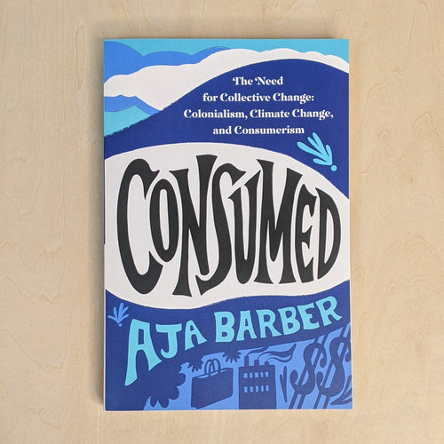 Blue book cover by Aja Barber. Reads 