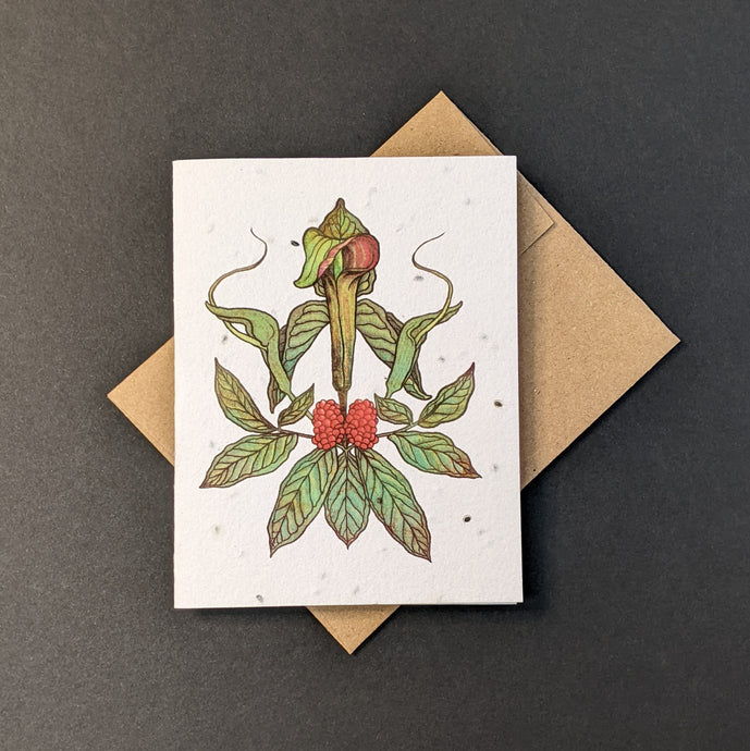 Jack-in-the-Pulpit & Green Dragon Card (seed paper)