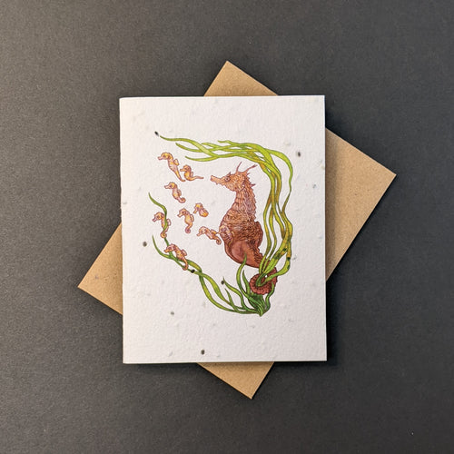 A white seed paper card with a brown craft envelope behind it on a black background. The card has a watercolor style illustration of a pregnant seahorse looking after baby seahorses in seaweed.

Sold at Coyote Supply Co a BIPOC and LGBTQIA+ owned zero waste witch store in Reno Nevada