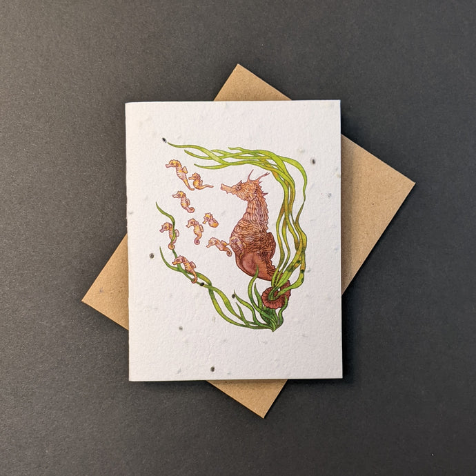 A white seed paper card with a brown craft envelope behind it on a black background. The card has a watercolor style illustration of a pregnant seahorse looking after baby seahorses in seaweed.

Sold at Coyote Supply Co a BIPOC and LGBTQIA+ owned zero waste witch store in Reno Nevada