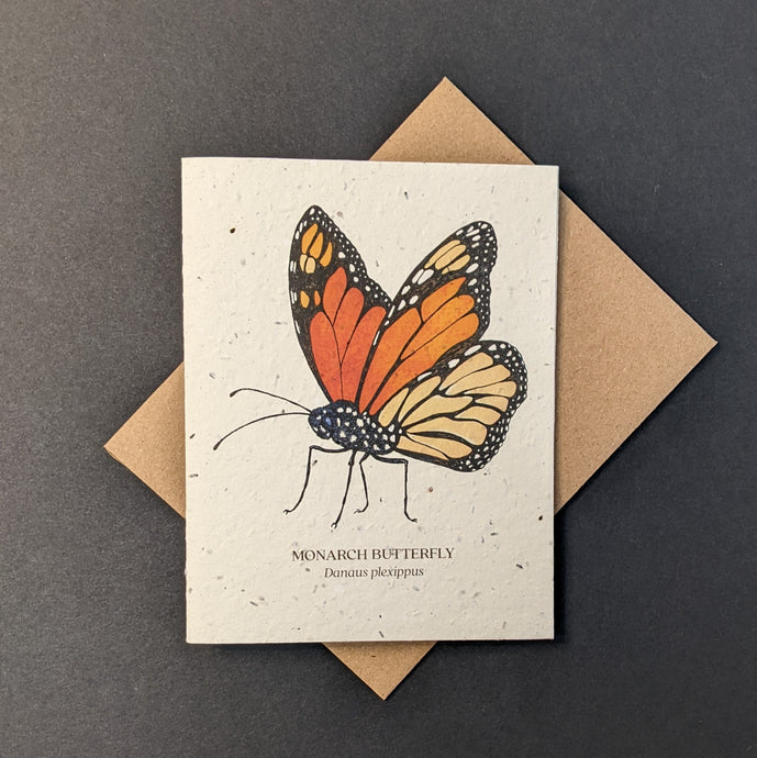 Monarch Butterfly Card (seed paper)