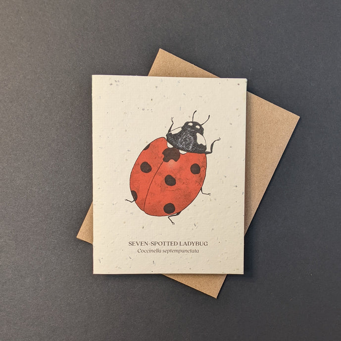 Ladybug Card (seed paper)