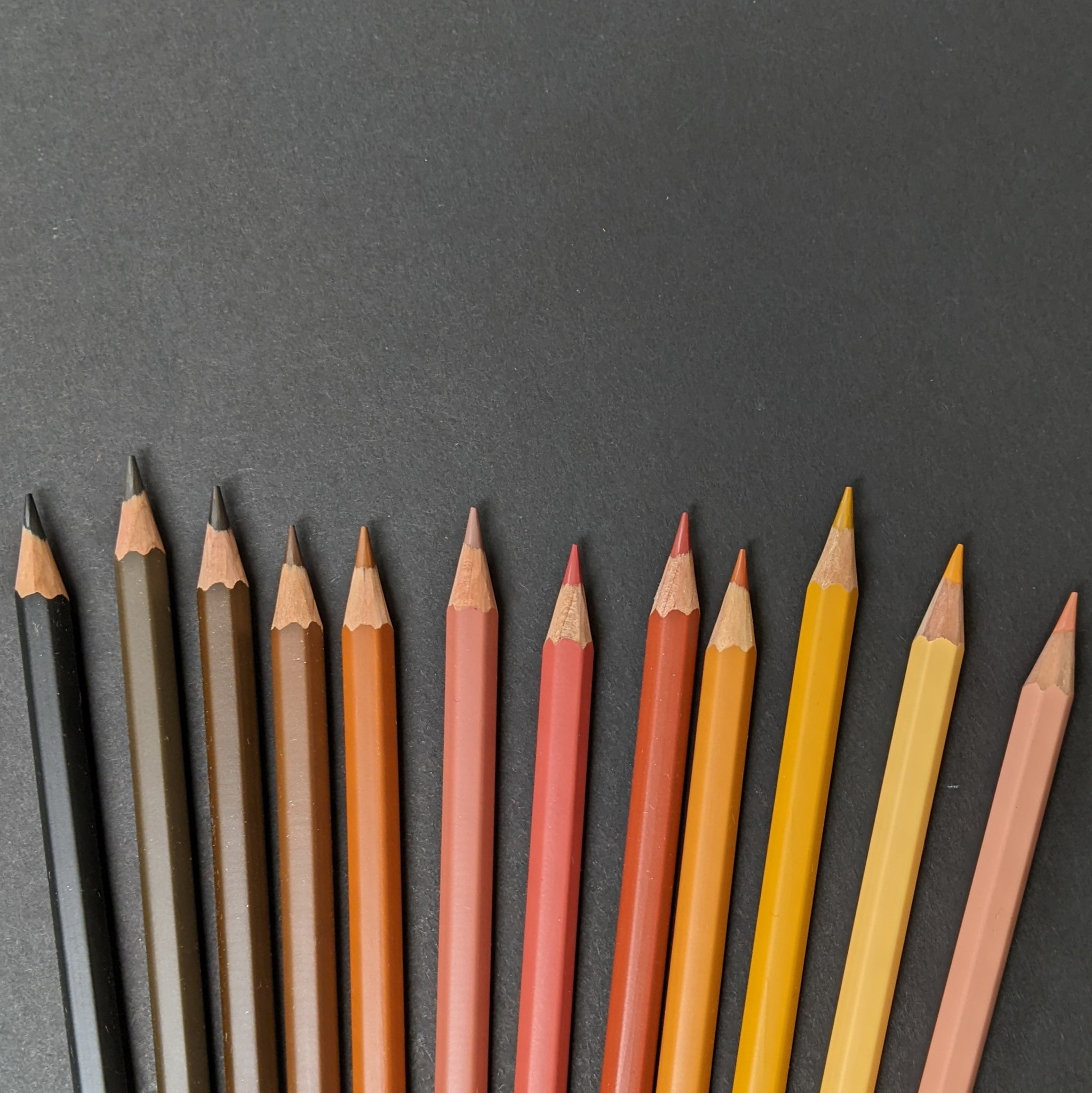 Skin Tones Colored Pencils
