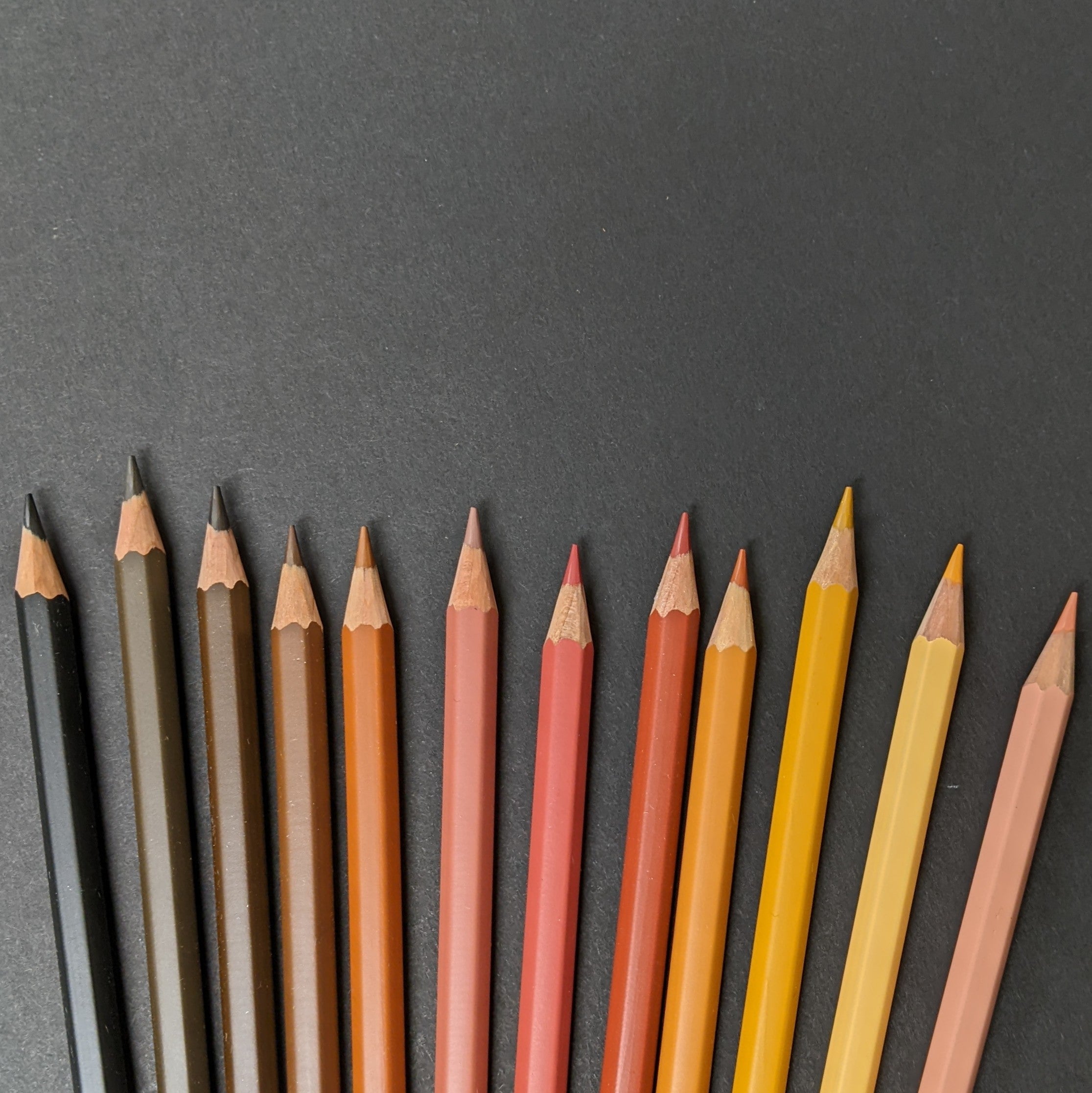 Skin Tone Colored Pencils – FOUND Gallery Ann Arbor